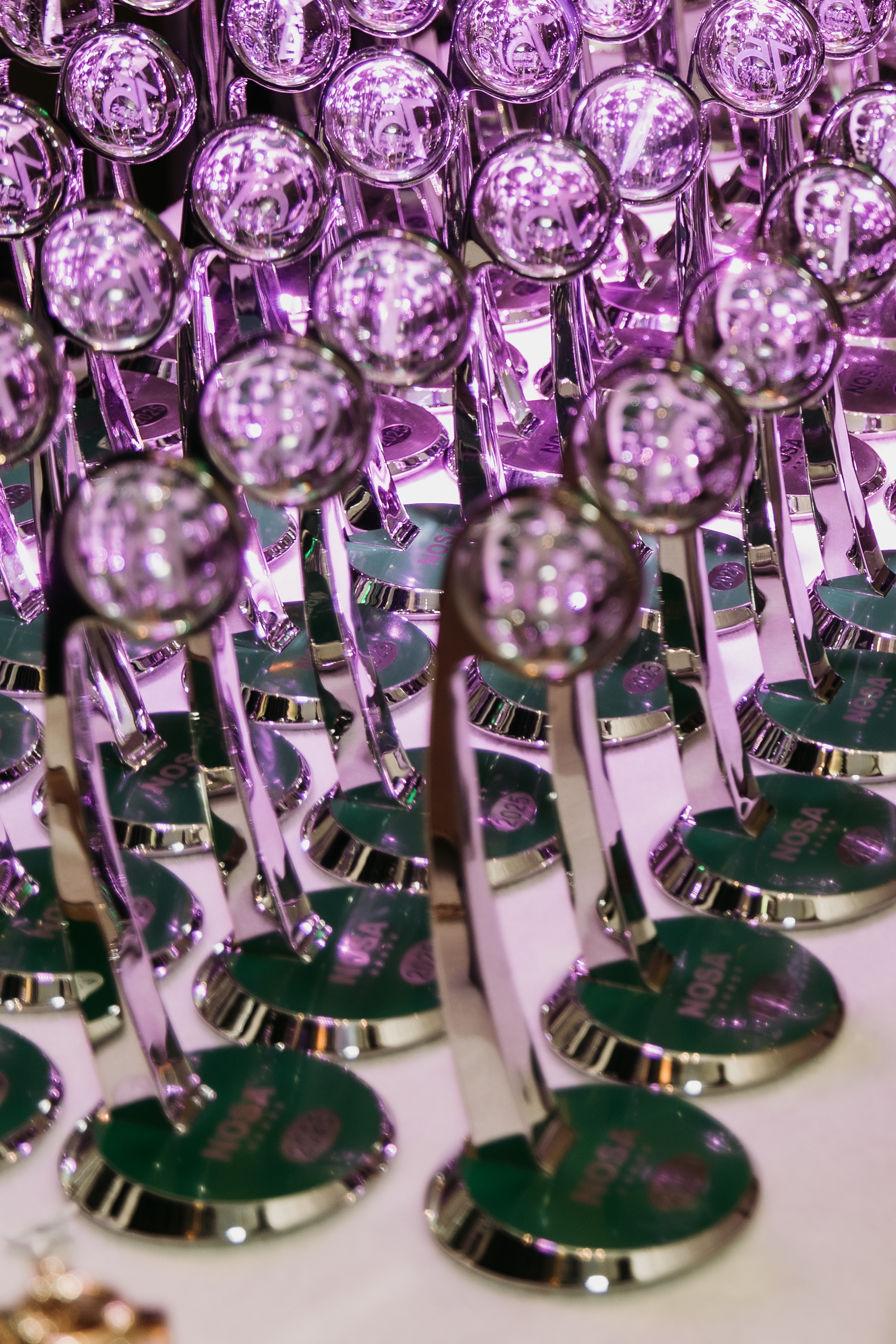 NOSCAR Awards